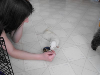 ./2009/Shawna/thumbShawna